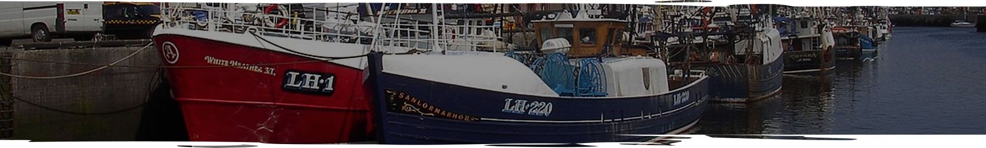 Commercial boats in Anglesey